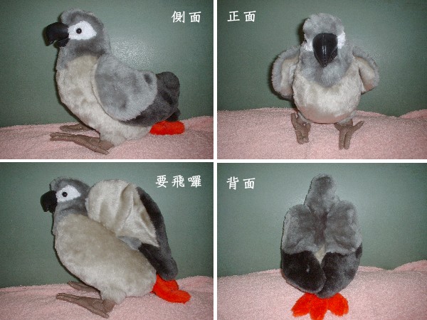 我妹做的鸚鵡布偶