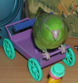 這是部好車！！