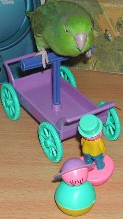 「飆車少年」來了！！！