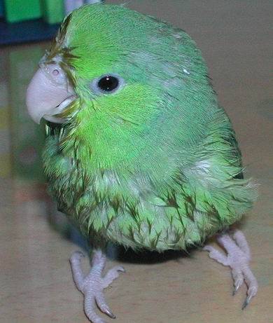 我美嗎?