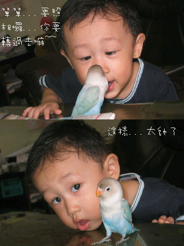 要照相囉