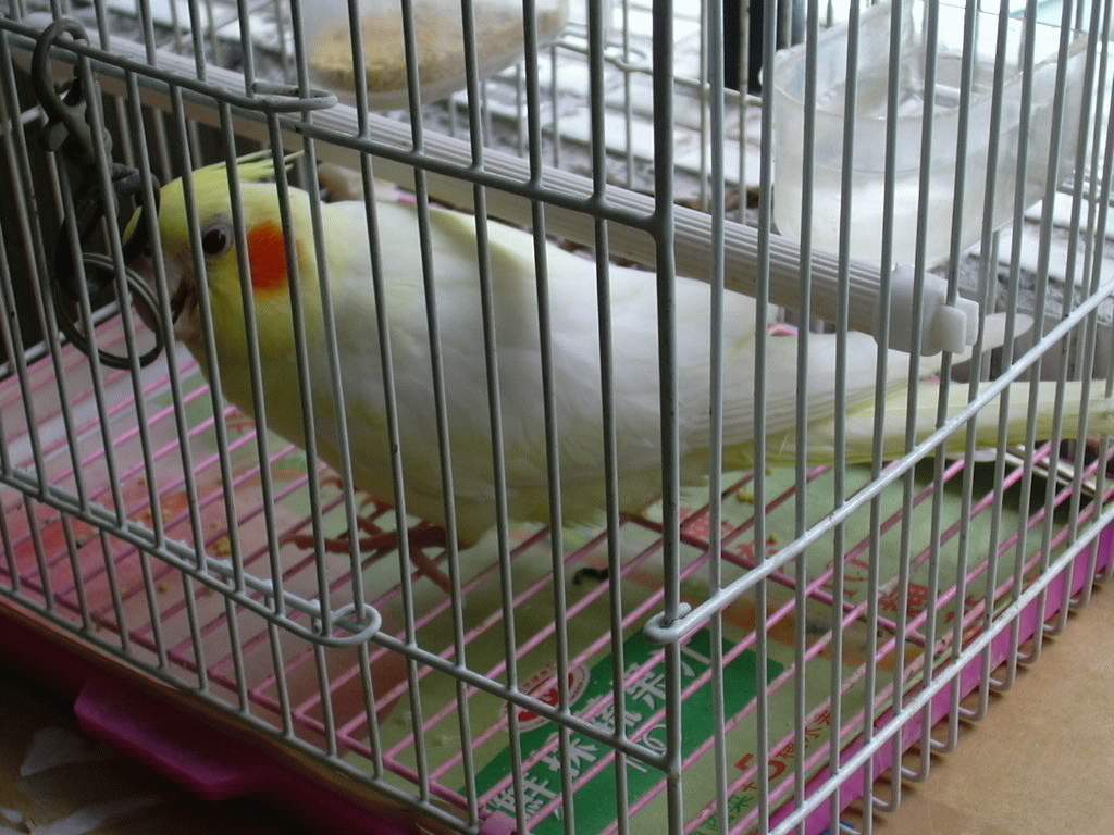 找到新樂子ㄌ