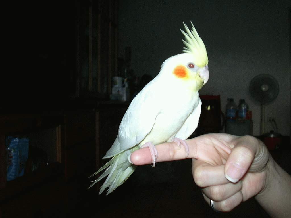 生病ㄌ