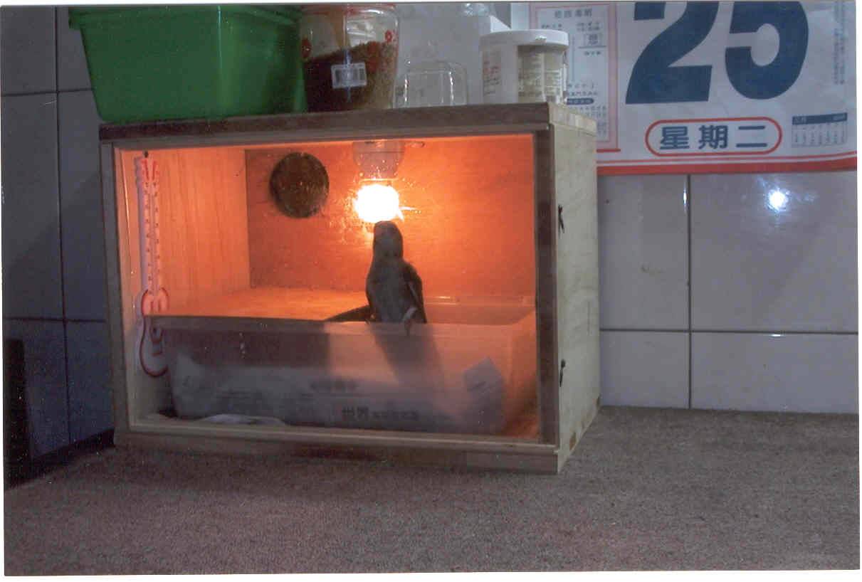 自製保溫箱 1