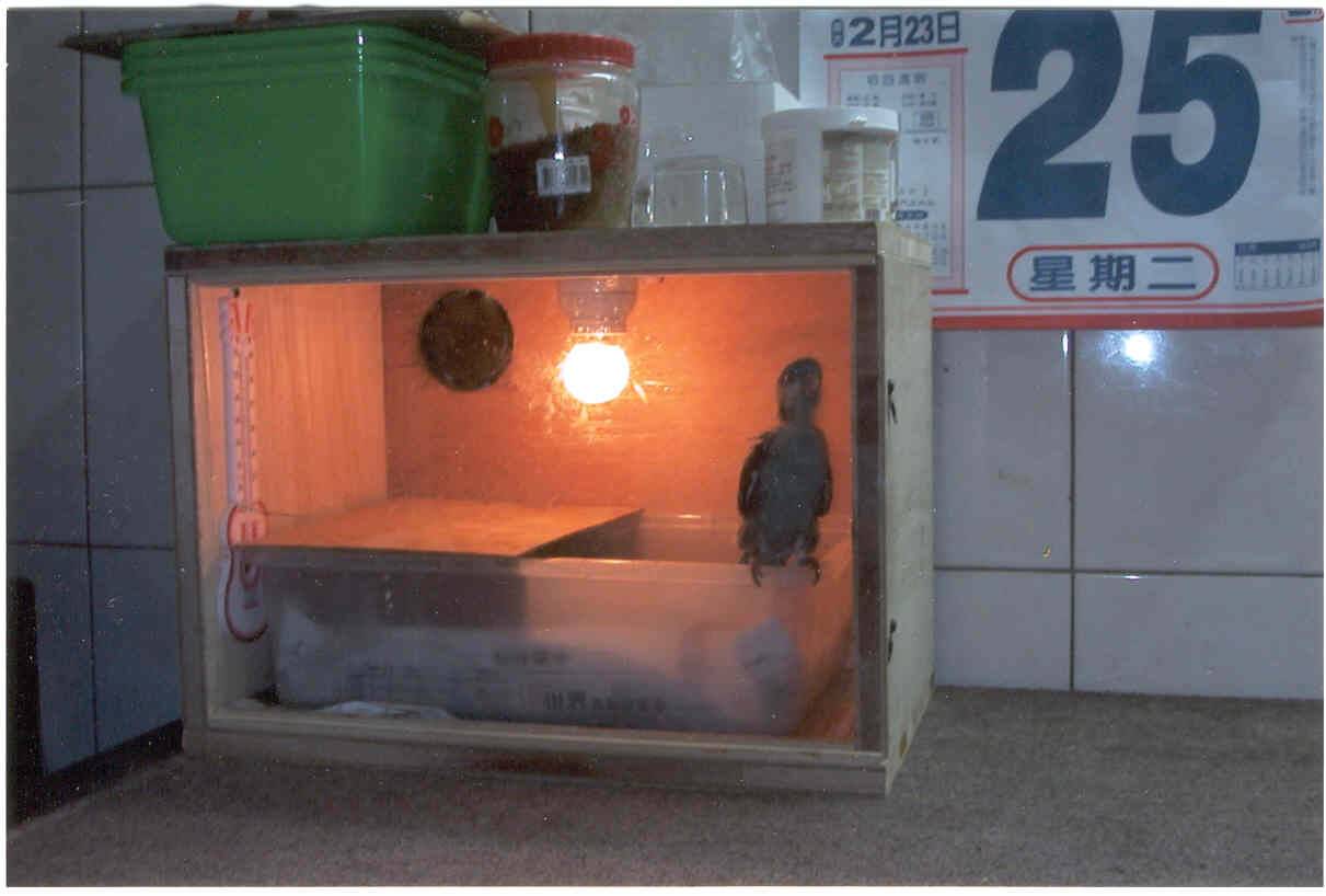 自製保溫箱 2