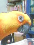 你在看我嗎？？
