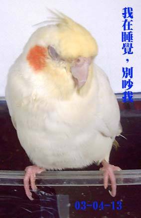 睡覺~~