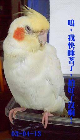 打瞌睡