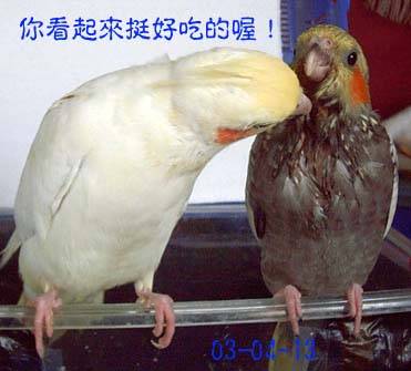 好吃喔~~~