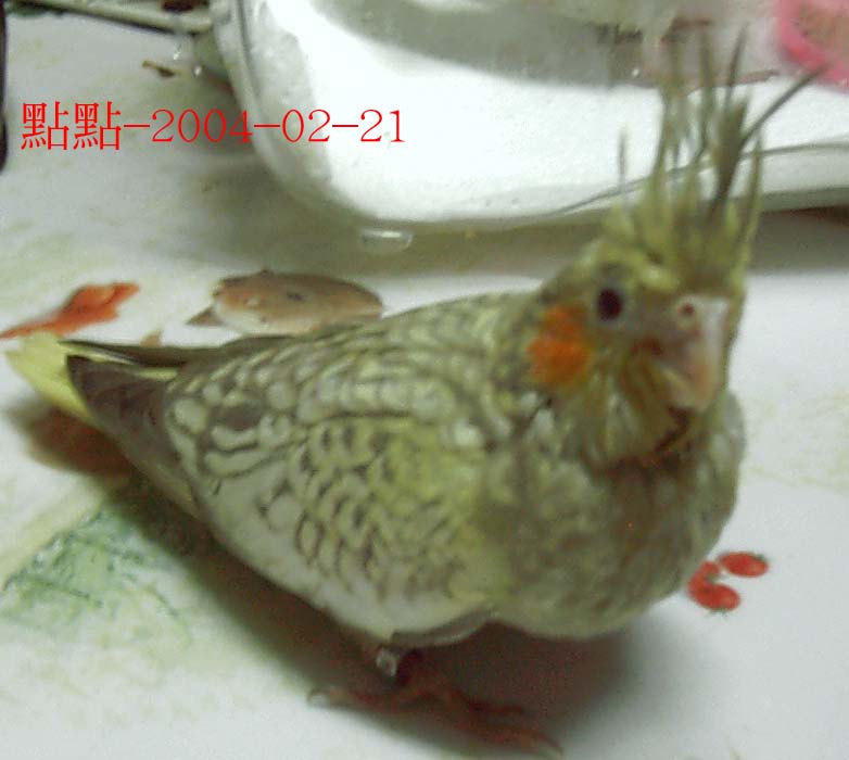 我美吧