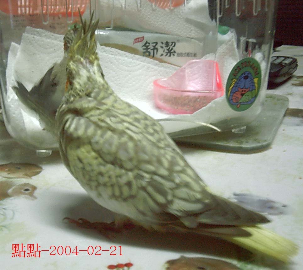 我也來秀背影