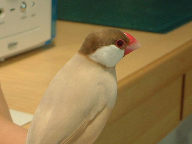 Photo 9861