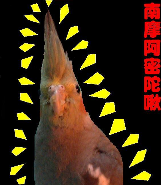 許純啾