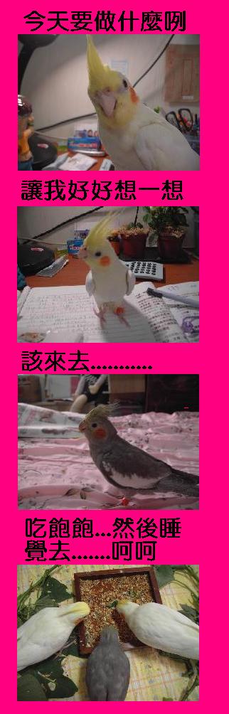 最今天氣真好......