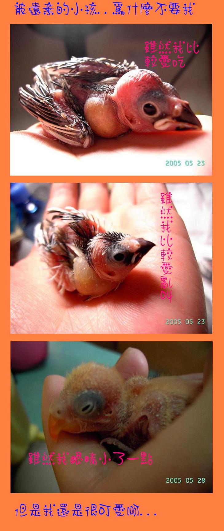 被遺棄的小孩...