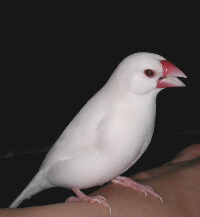 yue2760