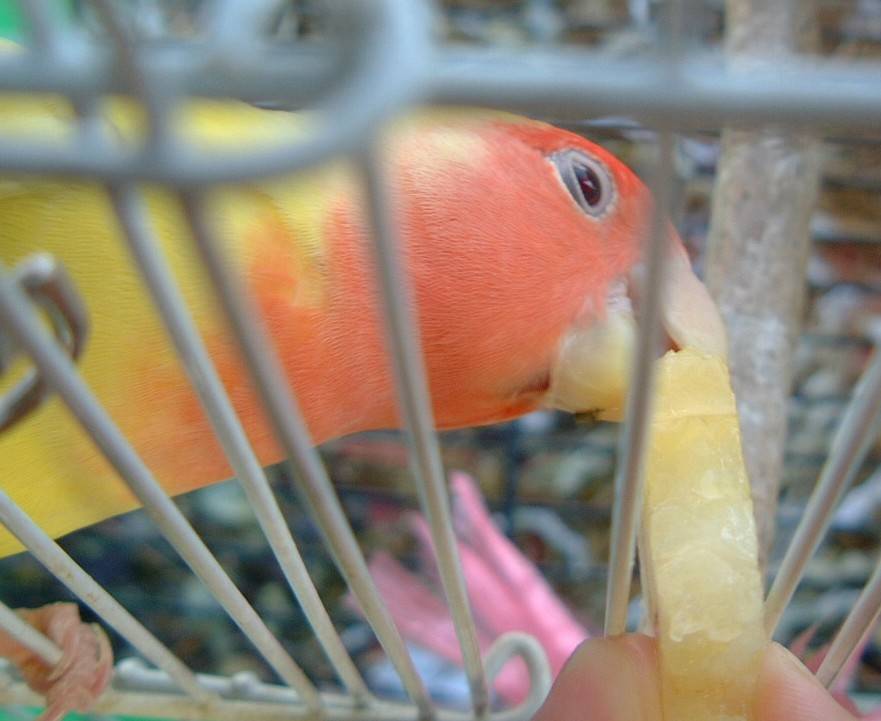 分我一口啦!