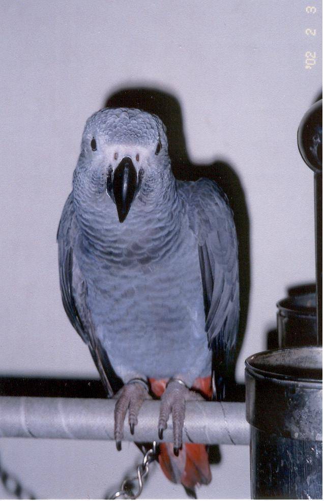 Photo 1935