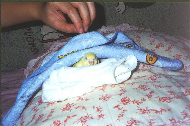 要蓋被子哦